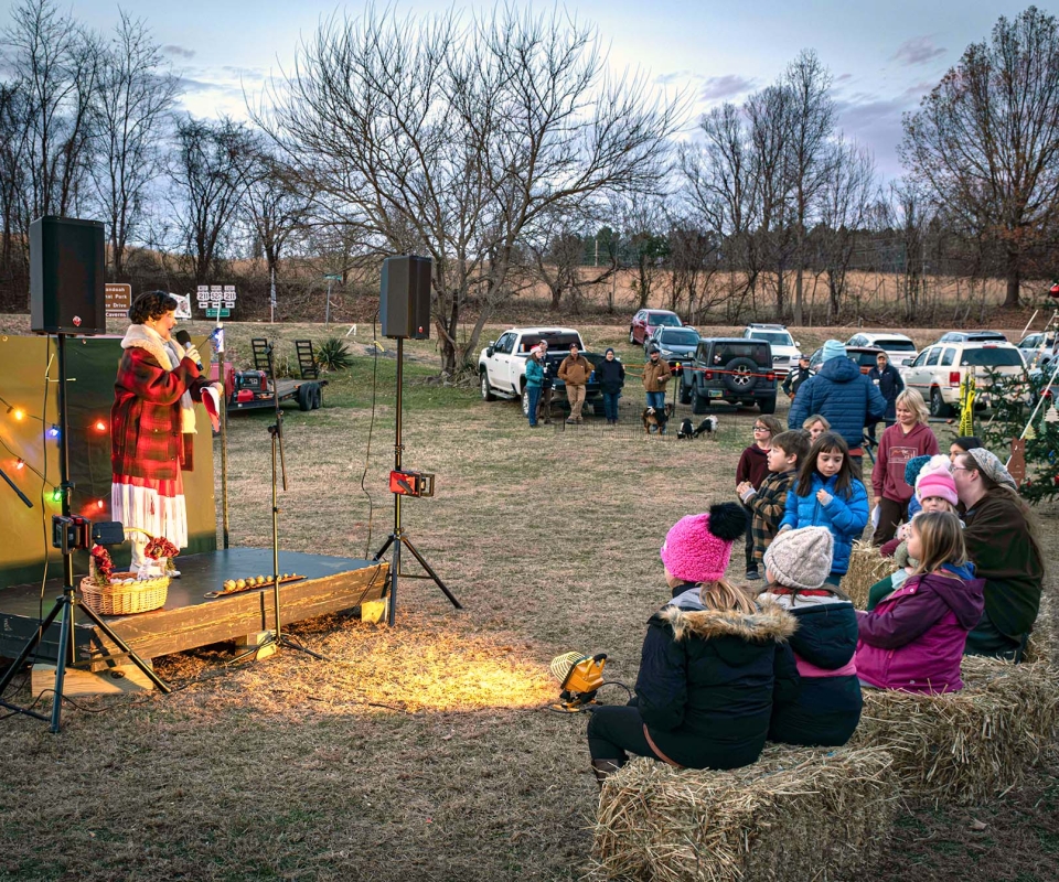 Merry-Sperry-Tree-6405-Ray-Boc