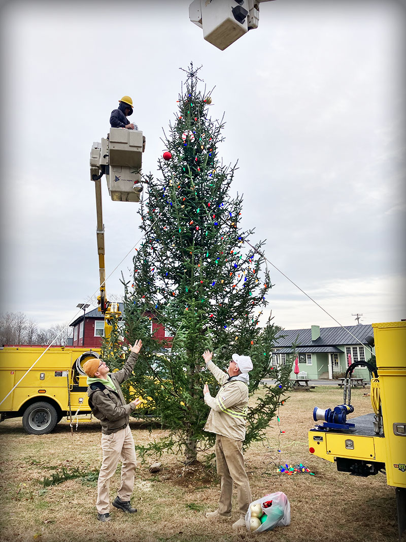 Tree Decorating Begins